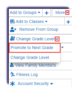 MS-single_student-More-promote_to_next_grade.png