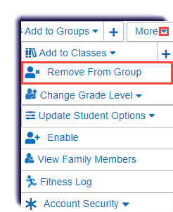 MS-single_student-More-remove_from_group-archive.png
