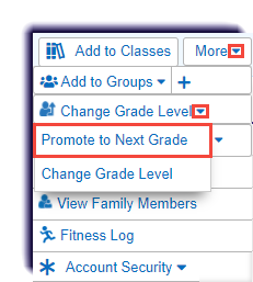 MS-one_student-actions-more-change_grade_level-promote_to_next_grade.png